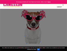 Tablet Screenshot of cameleon-toulouse.fr